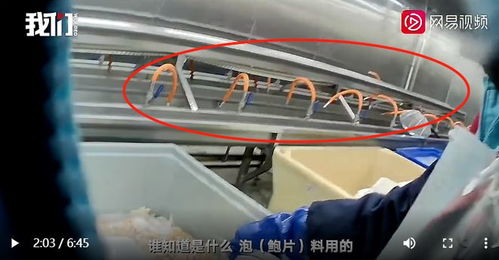 白色粉末 泡出黃金鮑,海鮮加工廠違規使用化學添加劑