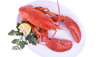 多國(guó)海鮮產(chǎn)品關(guān)稅迎調(diào)整或全免，全球貿(mào)易格局或?qū)⒅厮? class=