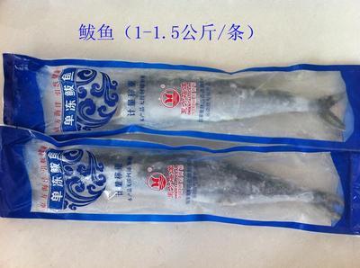 青島海鮮盛宴，禮遇四方 城陽海產品禮盒批發采購全指南